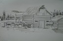 Horse Barn (Pen & Ink) 1957-59