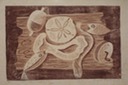 Still life with Sanddollar (Woodcut) 1955