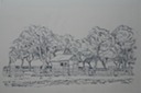 Shed in the trees Germany 1927